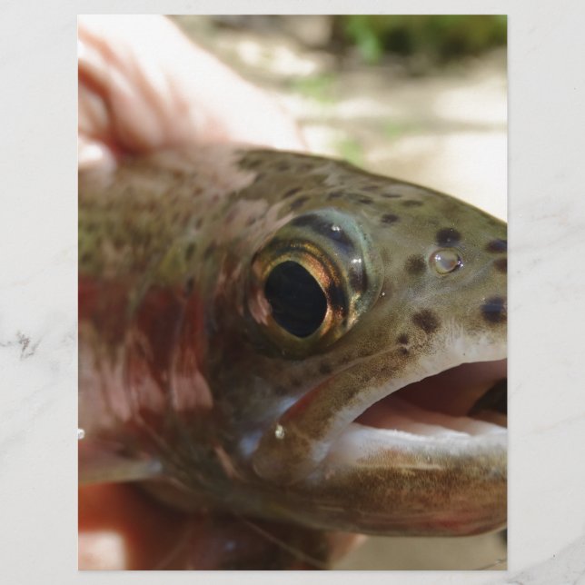 Forel in handen (Voorkant)