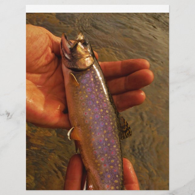 forel in handen (Voorkant)