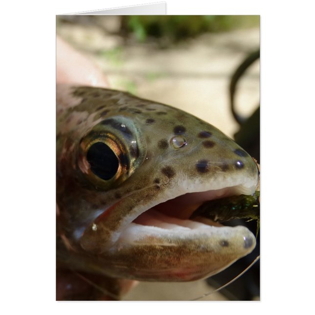 Forel in handen (Voorkant)