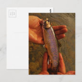 forel in handen briefkaart (Voorkant / Achterkant)