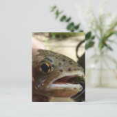 Forel in handen briefkaart (Staand voorkant)