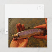 forel in handen briefkaart (Voorkant / Achterkant)