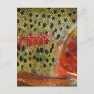 Forel in handen briefkaart