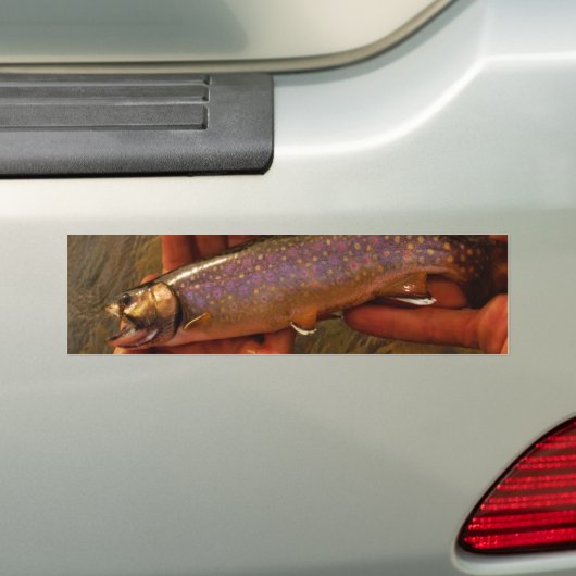 forel in handen bumpersticker (Op auto)