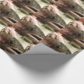 Forel in handen cadeaupapier (Hoek)