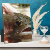 Forel in handen fotoplaat (Zijkant)