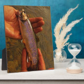 forel in handen fotoplaat (Zijkant)