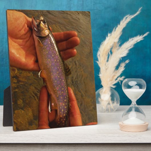 forel in handen fotoplaat (Zijkant)