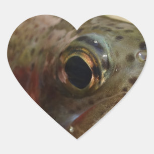 Forel in handen hart sticker
