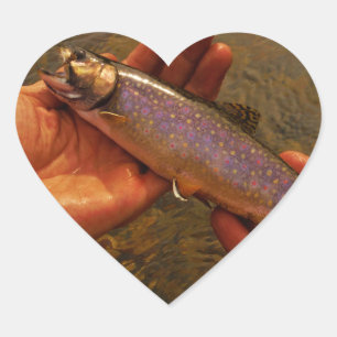forel in handen hart sticker