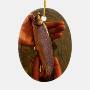 forel in handen keramisch ornament