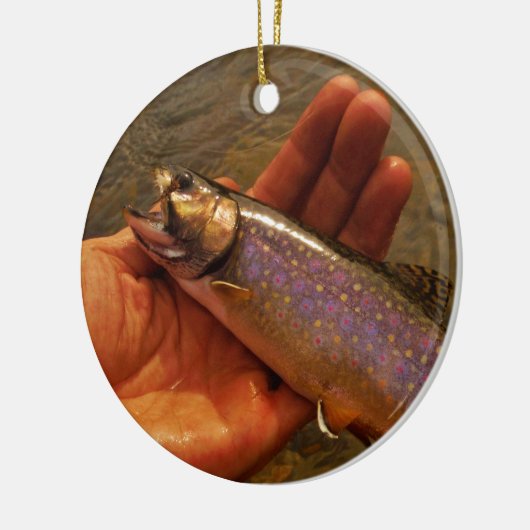 forel in handen keramisch ornament (Links)
