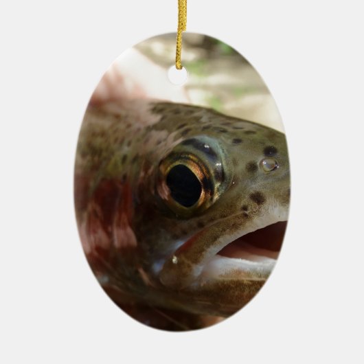 Forel in handen keramisch ornament (Voorkant)