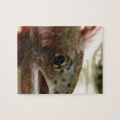 Forel in handen legpuzzel (Horizontaal)
