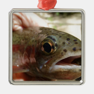 Forel in handen metalen ornament