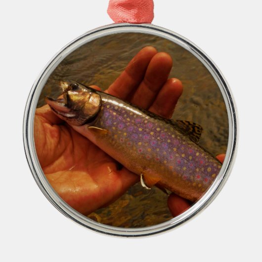 forel in handen metalen ornament (Voorkant)