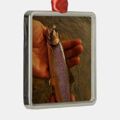 forel in handen metalen ornament (Rechts)