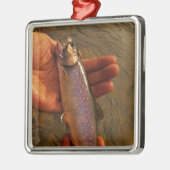 forel in handen metalen ornament (Links)