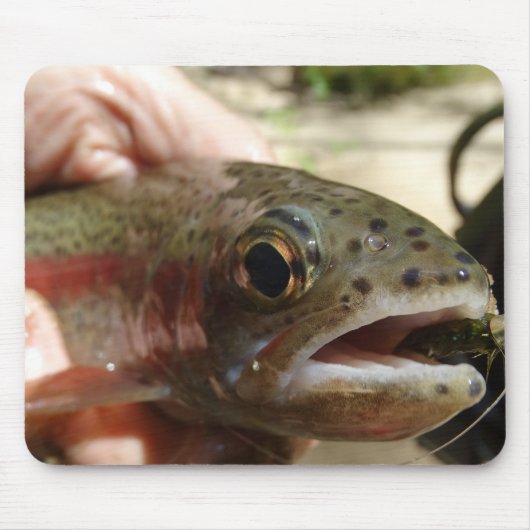 Forel in handen muismat (Voorkant)