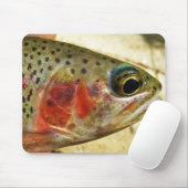 Forel in handen muismat (Met muis)