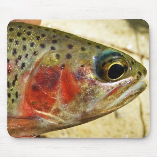 Forel in handen muismat (Voorkant)