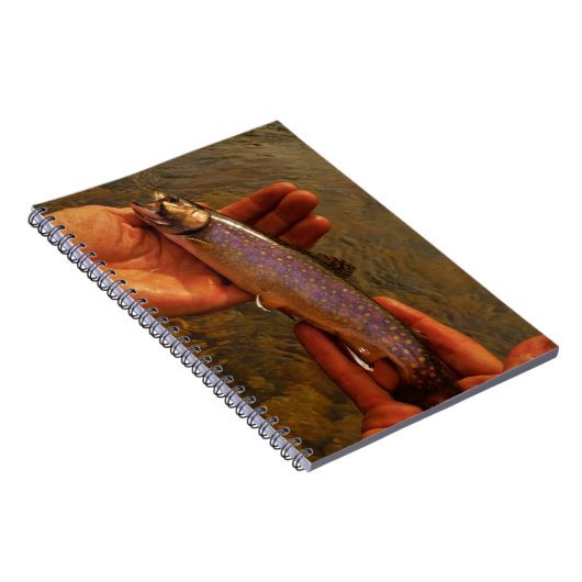 forel in handen notitieboek (Rechterzijde)