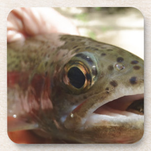 Forel in handen onderzetter
