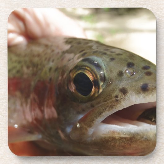 Forel in handen onderzetter (Voorkant)