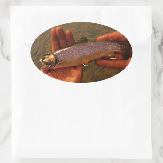 forel in handen ovale sticker (Tas)