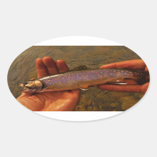 forel in handen ovale sticker