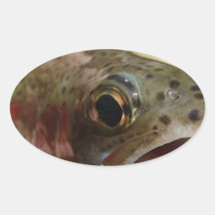 Forel in handen ovale sticker