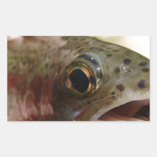 Forel in handen rechthoekige sticker