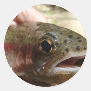 Forel in handen ronde sticker