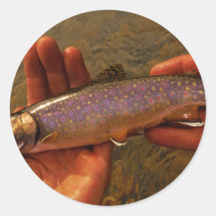 forel in handen ronde sticker