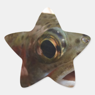 Forel in handen ster sticker