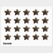 Forel in handen ster sticker (Vel)