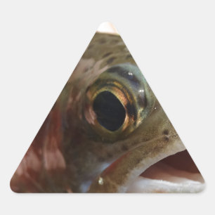 Forel in handen sticker