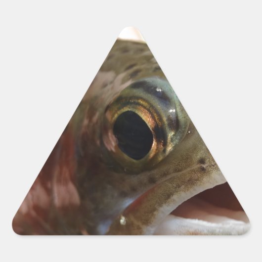 Forel in handen sticker (Voorkant)