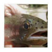 forel in handen tegeltje (Voorkant)