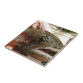 forel in handen tegeltje (Zijkant)