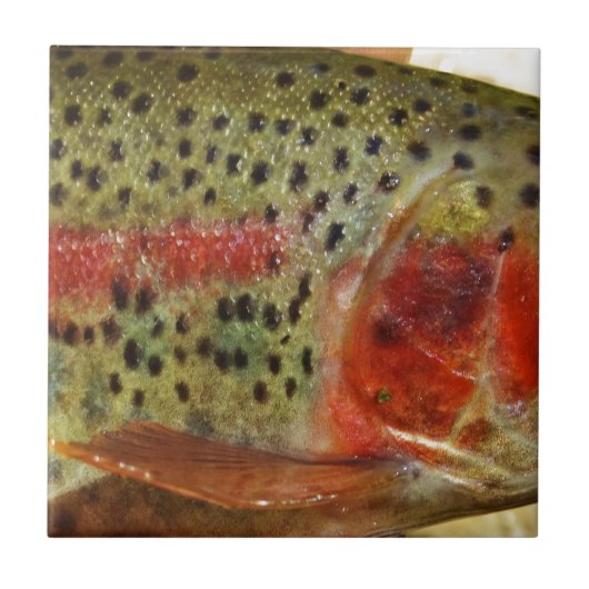 Forel in handen tegeltje (Voorkant)