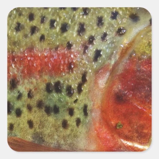 Forel in handen vierkante sticker (Voorkant)