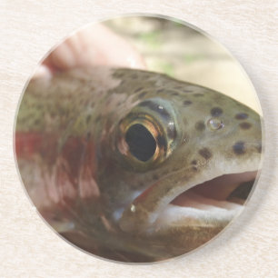 Forel in handen zandsteen onderzetter