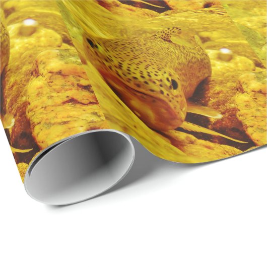 Forel in stroom cadeaupapier (Rol Hoek)