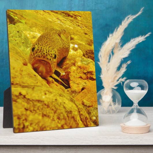 Forel in stroom fotoplaat (Zijkant)