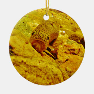 Forel in stroom keramisch ornament