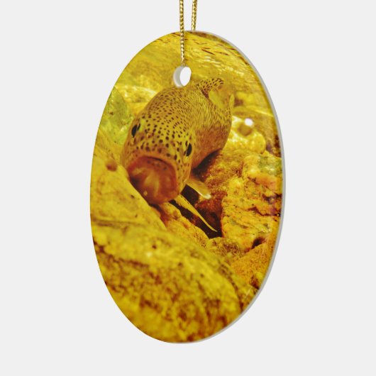 Forel in stroom keramisch ornament (Links)