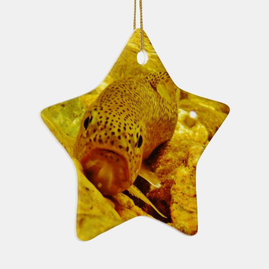 Forel in stroom keramisch ornament (Rechts)