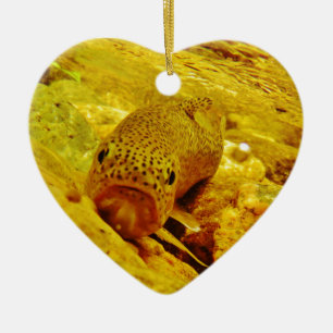 Forel in stroom keramisch ornament