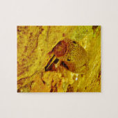 Forel in stroom legpuzzel (Horizontaal)